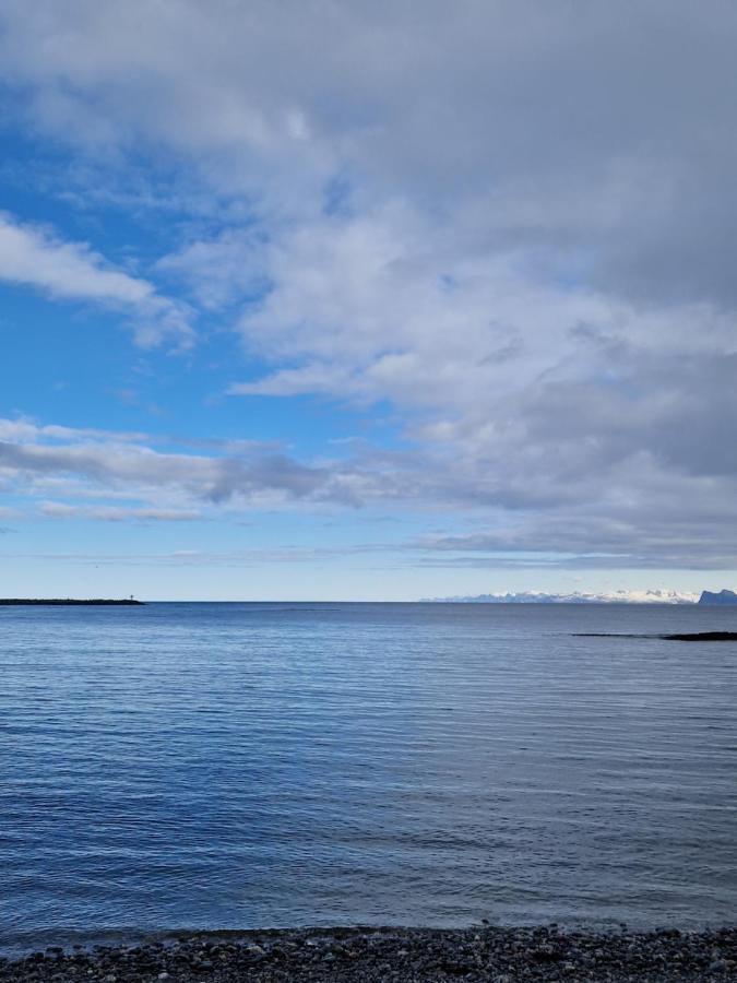 Roligheten Lodge In Andenes Exteriör bild
