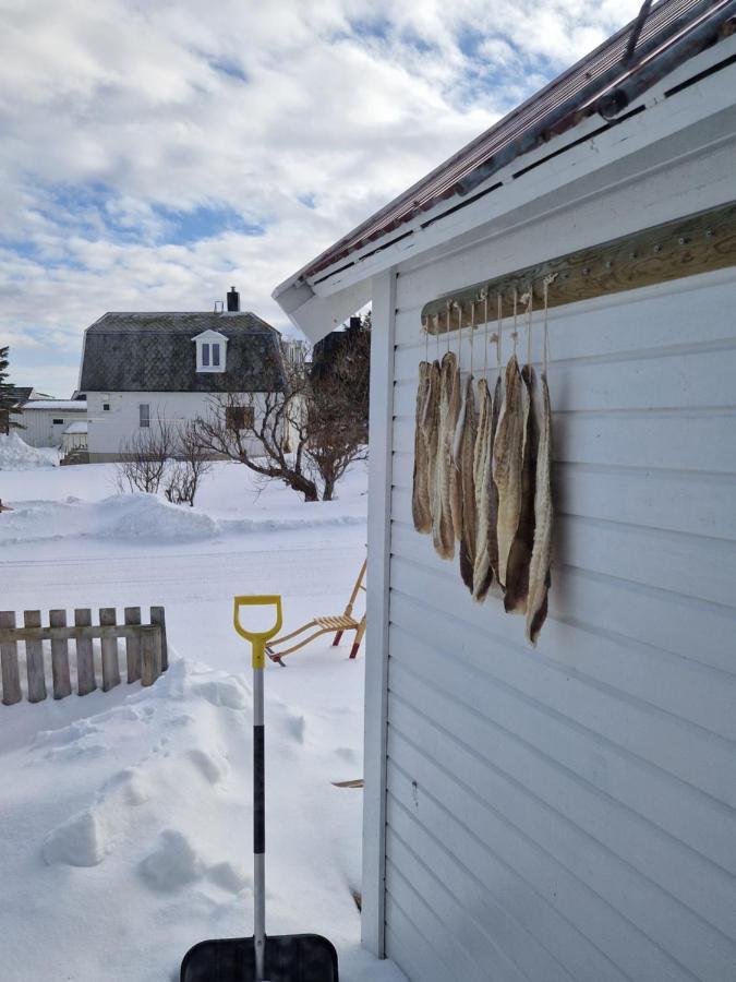 Roligheten Lodge In Andenes Exteriör bild